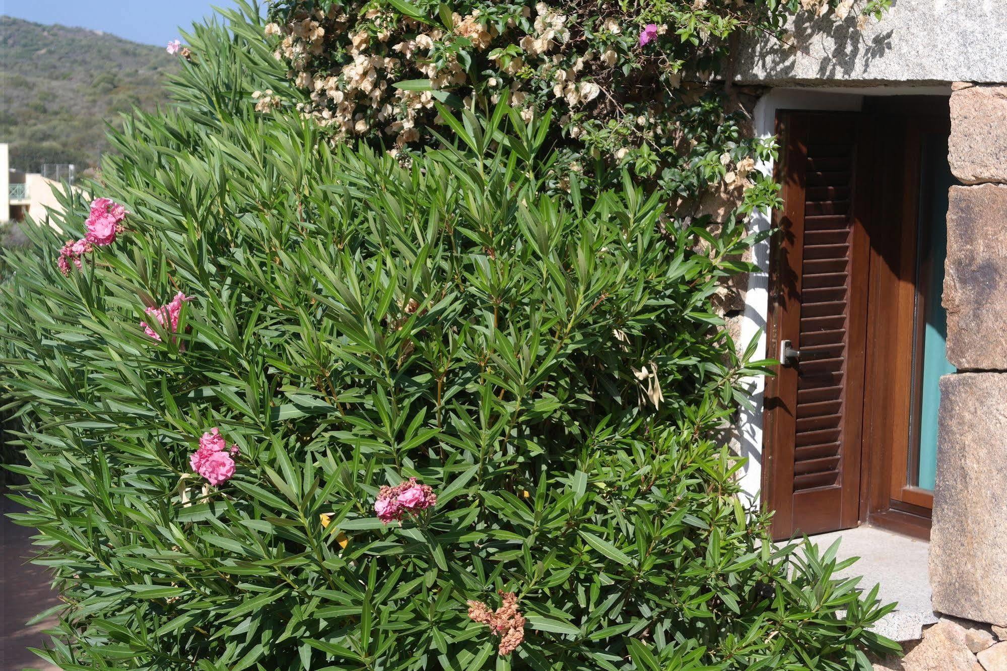 Sardinia Blu Residence ゴルフォ・アランチ エクステリア 写真